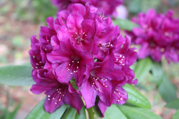 beautiful skies and beading 005