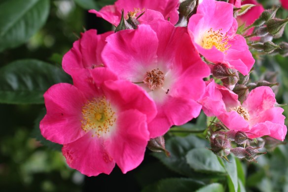 beautiful skies and beading 020