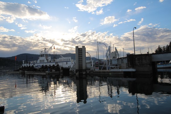 lady bugs, dinghy trip to Squally reach 007