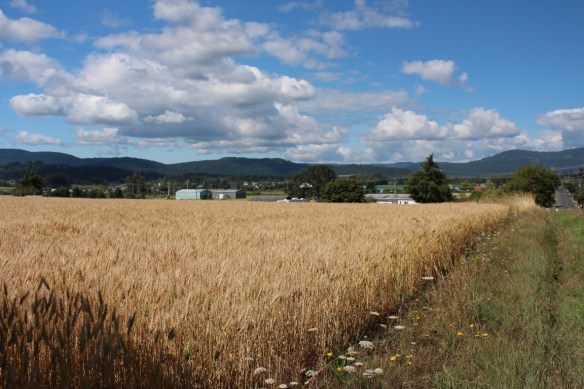 tod-inlet-beautiful-skies-151-medium