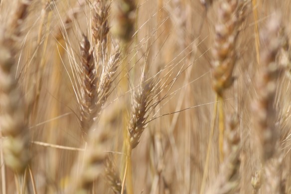 tod-inlet-beautiful-skies-156