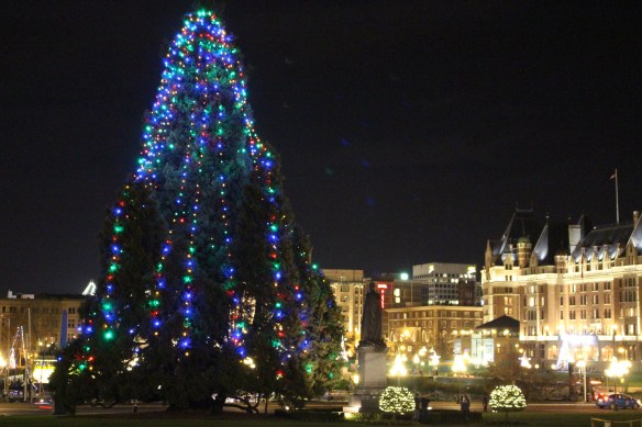 broken-docks-and-christmas-005