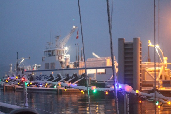 december-2016-snowy-days-002