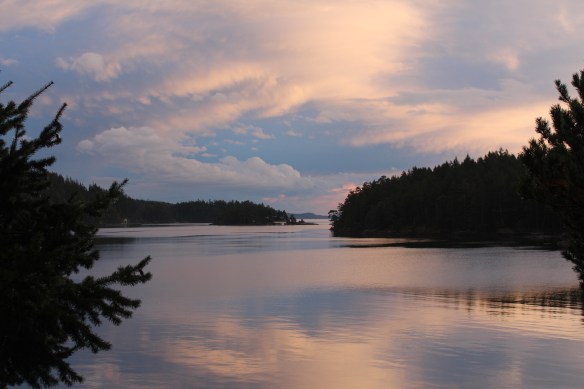 pender-harbourfall-colors-bonsai-047