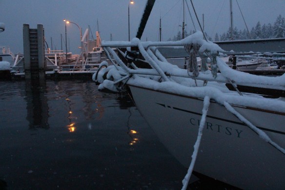 feb-snow-and-ice-and-ucluelet-004