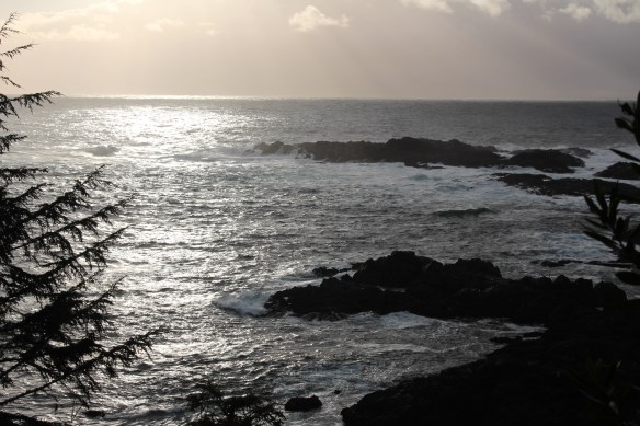 feb-snow-and-ice-and-ucluelet-084