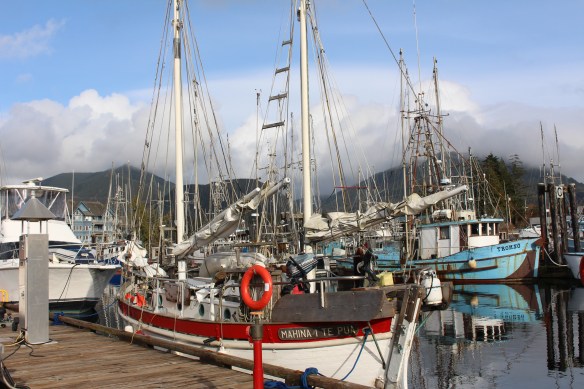 feb-snow-and-ice-and-ucluelet-092