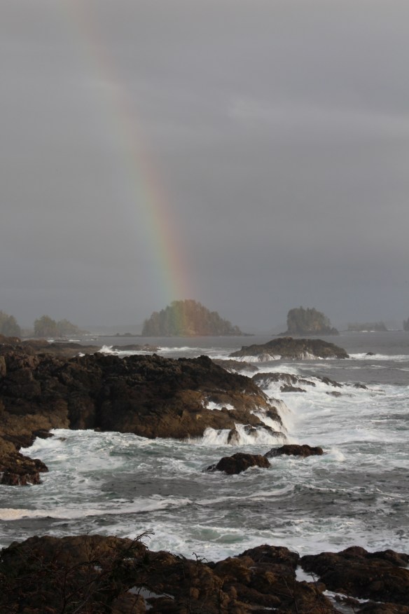 feb-snow-and-ice-and-ucluelet-109