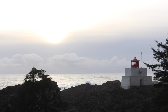 feb-snow-and-ice-and-ucluelet-119