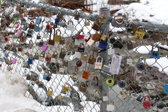 feb-snow-and-ice-and-ucluelet-157