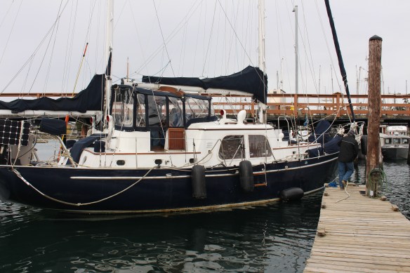 Ginger 4H Baraka Bashad haul out 084