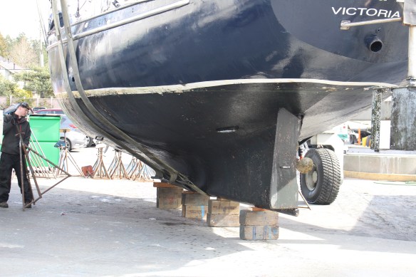 Ginger 4H Baraka Bashad haul out 144