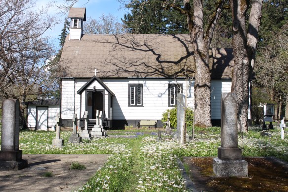 Metchosin flowers 028