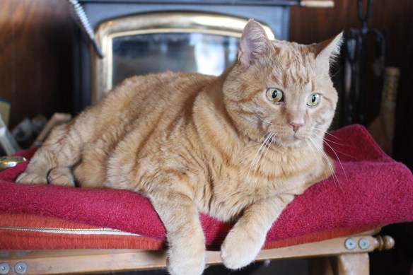 phase 1 Glacier Bay trip 2017 016