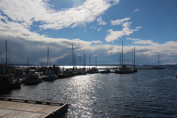 phase 1 Glacier Bay trip 2017 060