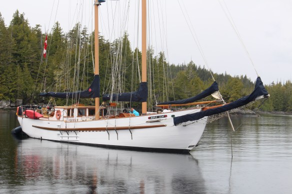 2017 GLACIER BAY ALASKA 006