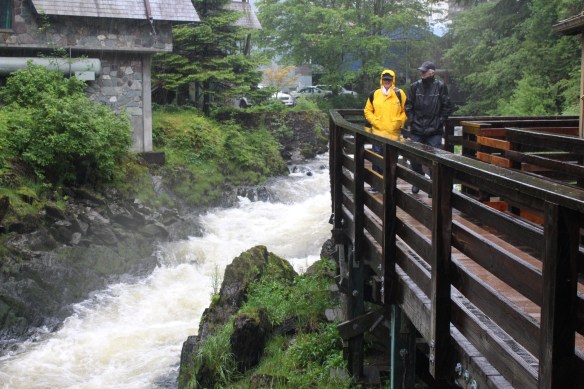 2017 Glacier bay.......Accident 033