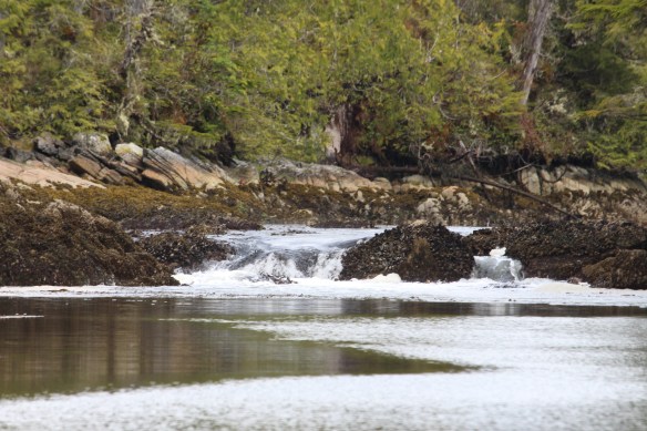 2017 GLACIER BAY ALASKA 027