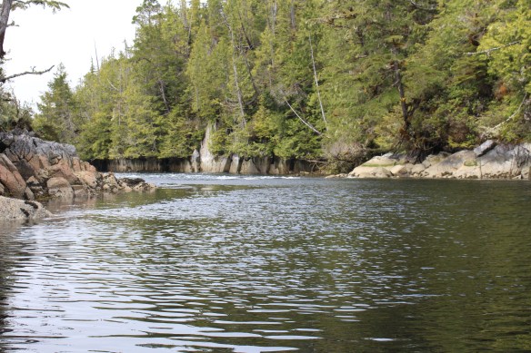 2017 GLACIER BAY ALASKA 036