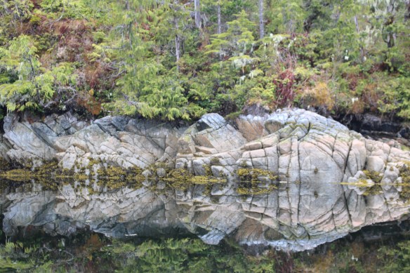 2017 GLACIER BAY ALASKA 057