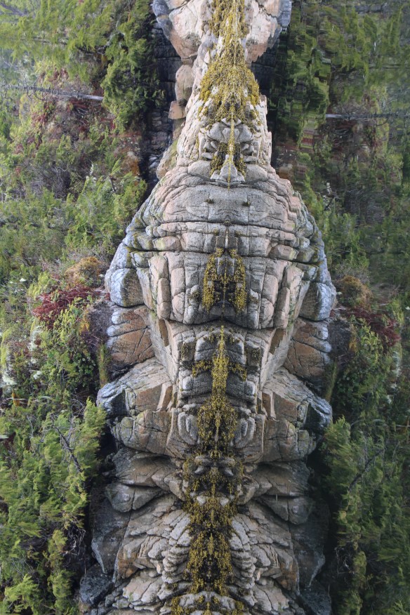 2017 GLACIER BAY ALASKA 059