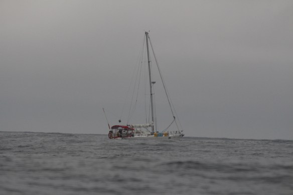 2017 GLACIER BAY ALASKA 108