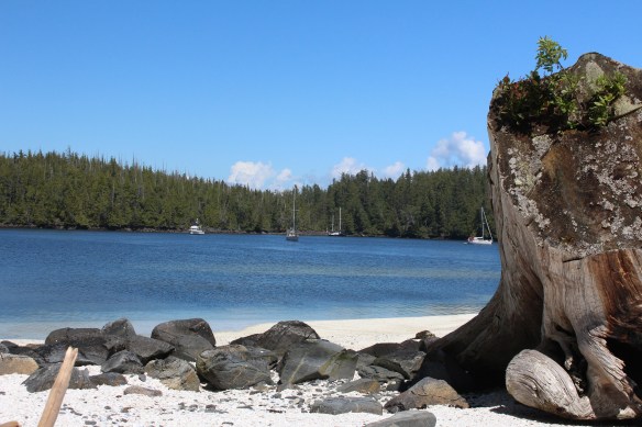 2017 GLACIER BAY ALASKA 141