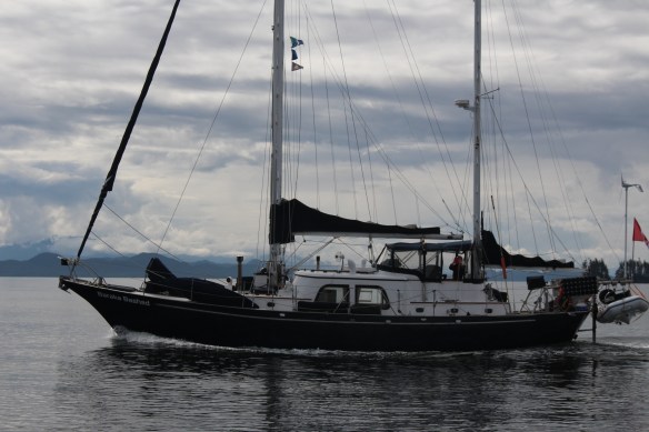 2017 GLACIER BAY ALASKA 161