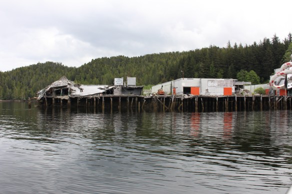 2017 GLACIER BAY ALASKA 186