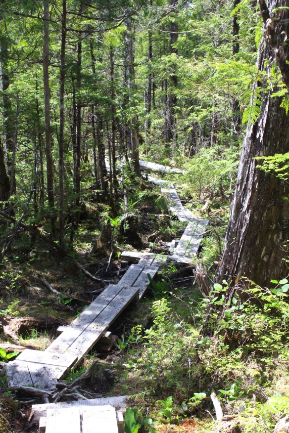 2017 GLACIER BAY ALASKA 208