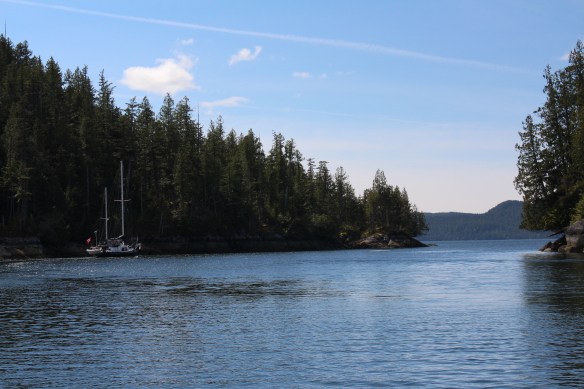 2017 GLACIER BAY ALASKA 210