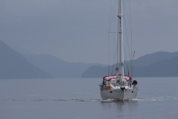 2017 GLACIER BAY WATERFALLS 011