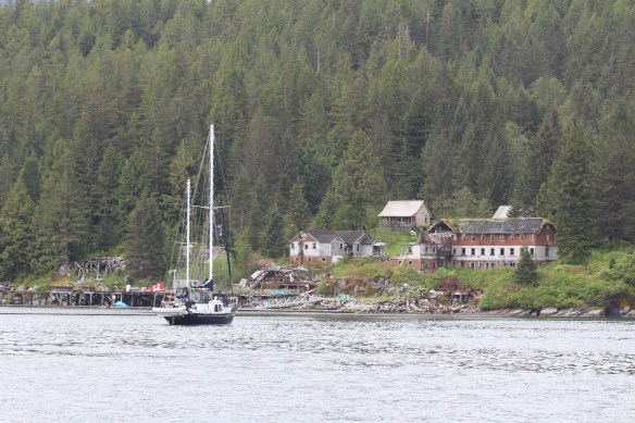 2017 GLACIER BAY WATERFALLS 030