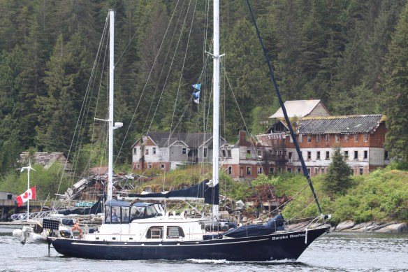 2017 GLACIER BAY WATERFALLS 042