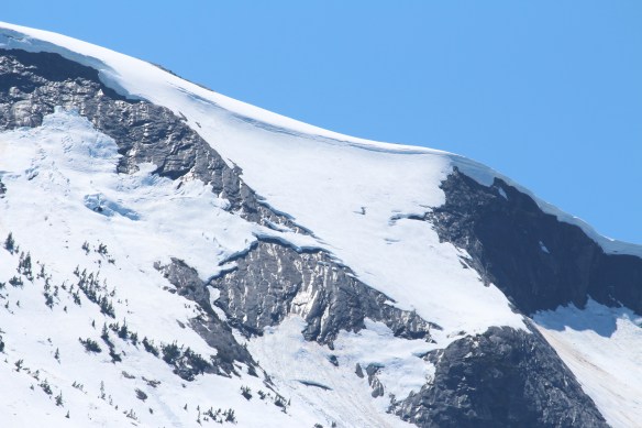 2017 grenville channel glacier bay 078