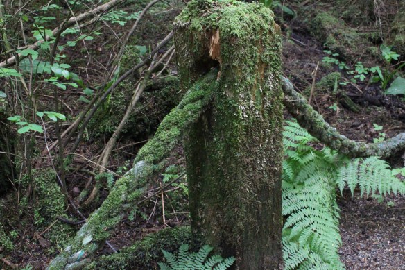 2017 haul out Totem Bight 008