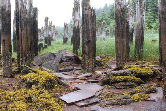 Alaska 2017 Hoonah 009