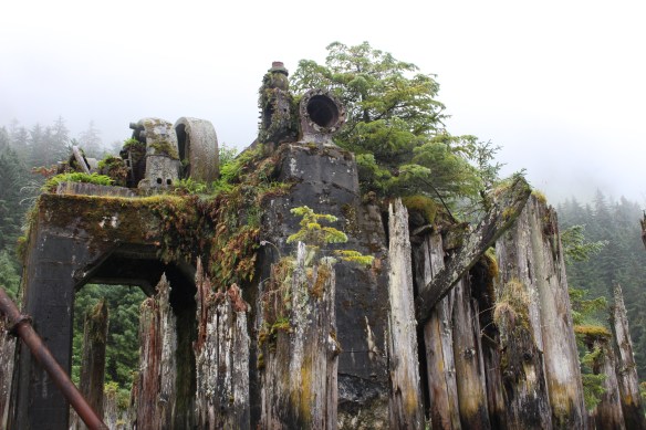 Alaska 2017 Hoonah 016