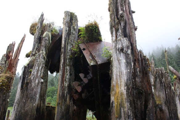 Alaska 2017 Hoonah 018