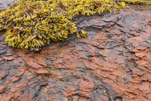 Alaska 2017 Hoonah 019