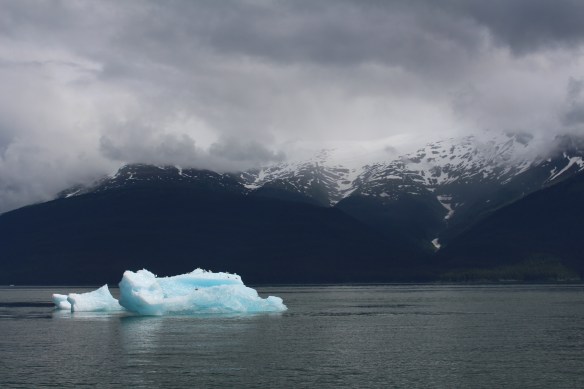 Alaska Tracy arm Taku bay 081