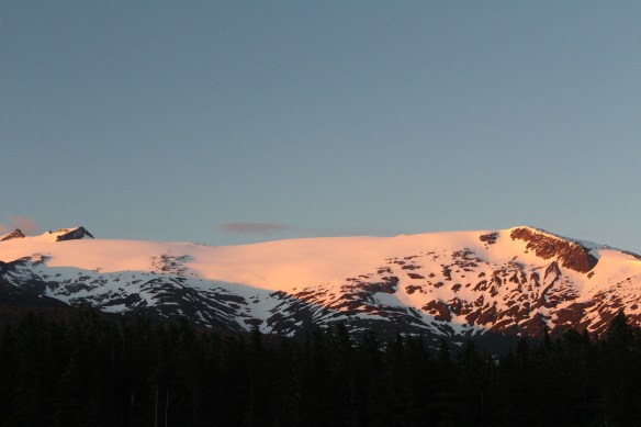 Alaska Tracy arm Taku bay 107