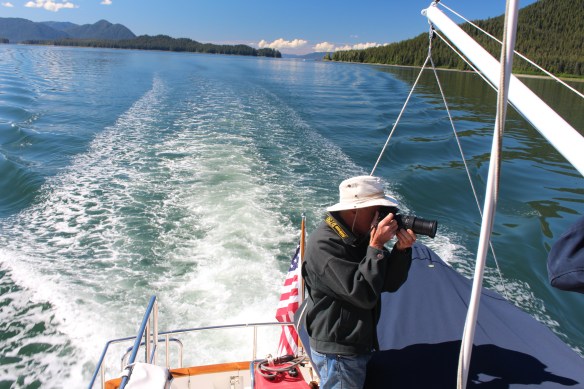 Alaska Tracy arm Taku bay 131