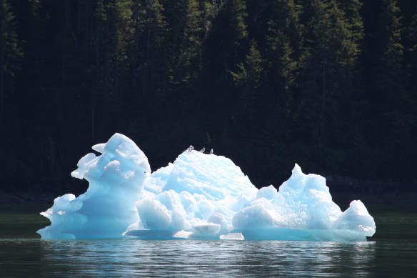 Alaska Tracy arm Taku bay 135