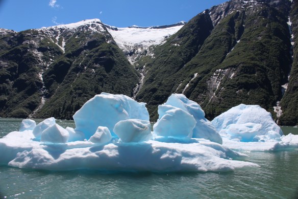 Alaska Tracy arm Taku bay 267