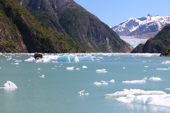 Alaska Tracy arm Taku bay 275