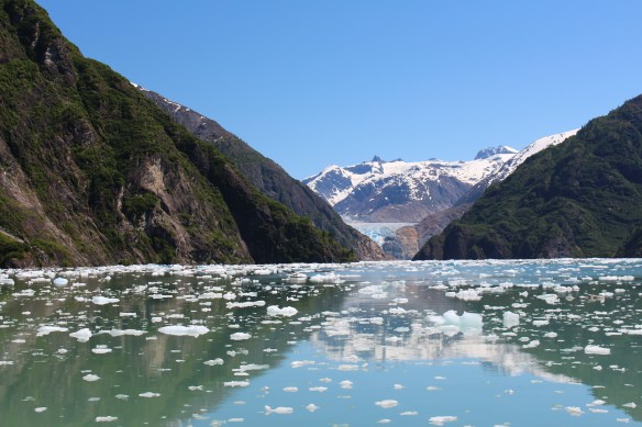 Alaska Tracy arm Taku bay 279