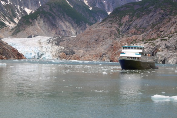 Alaska Tracy arm Taku bay 284