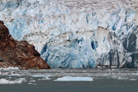 Alaska Tracy arm Taku bay 288