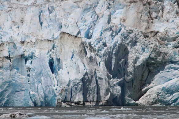 Alaska Tracy arm Taku bay 293